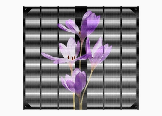 P3.91 High Brightness See Through LED Screen Full Color RGB Indoor Display Panel Screen