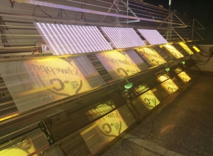 Indoor Transparent Glass LED Display , Full Color LED Glass Screen