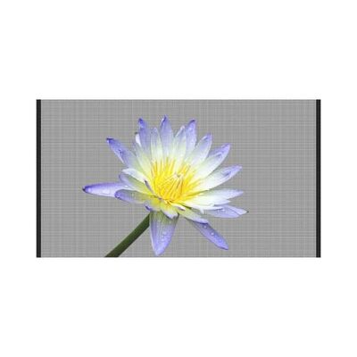 P10 3500cd High Brightness LED Advertising Screen with IP45 Rating for Indoor Use