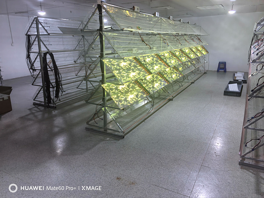 High Brightness Transparent Display Screen P6 Full Color Glass Wall LED Screen