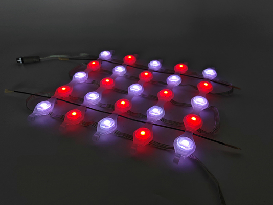 SMA5050 P50 Waterproof Flexible LED Mesh Screen Building Media