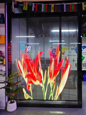 Flexible Installation Glass Transparent LED Display Outdoor Grille Large LED Display Screen