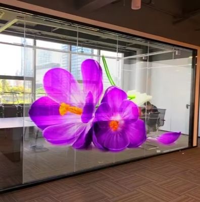 Indoor LED Transparent Film Screen Display Glass Advertising Transparent LED Screen Display