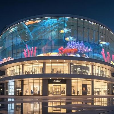 Indoor Full Color DC5V Flexible Transparent LED Display Film P6