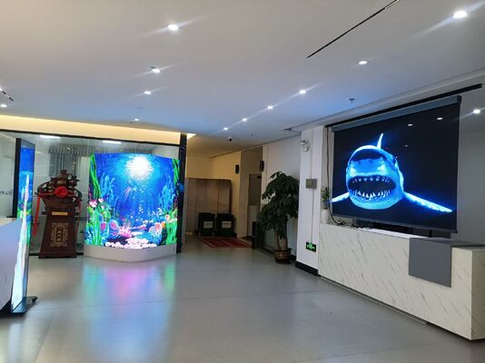 Flexible Transparent P3.91 Holographic 3D LED Film Screen Slim High-Brightness Advertising Display for Glass Window