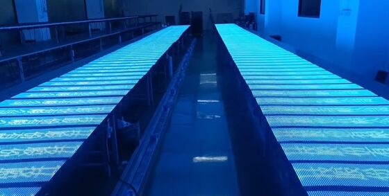 LED High-Transparency P2.5 Ultra Light Soft HD  Holographic Display 2500CD for Shopping Mall Advertising Exhibition Window Display