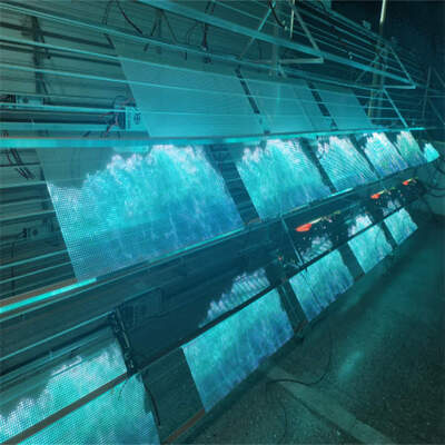 P10 Indoor Transparent LED Display 4000cd Brightness and 93 Percent Clarity Ideal for Store Decoration