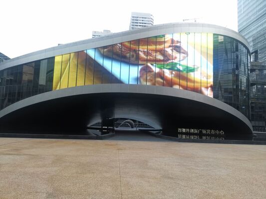 Flexible 6.25mm Holographic LED Display with Clear Vision 1-Year Warranty Easy Installation High Transparency for Shopping Mall Commercial Advertising and Shop Windows